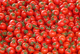 在线超级轰炸电话网页版