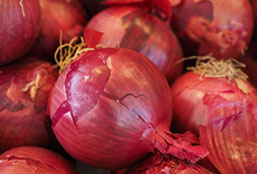 电话短信轰在线轰炸免费