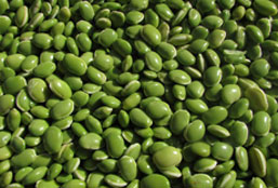 在线超级轰炸电话网页版