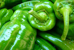 在线超级轰炸电话网页版