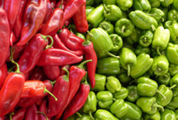 电话呼叫软件网页版