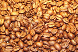 免费电话轰炸软件